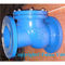 6 INCH ANSI 125LB CAST IRON SWING TYPE CHECK VALVE supplier