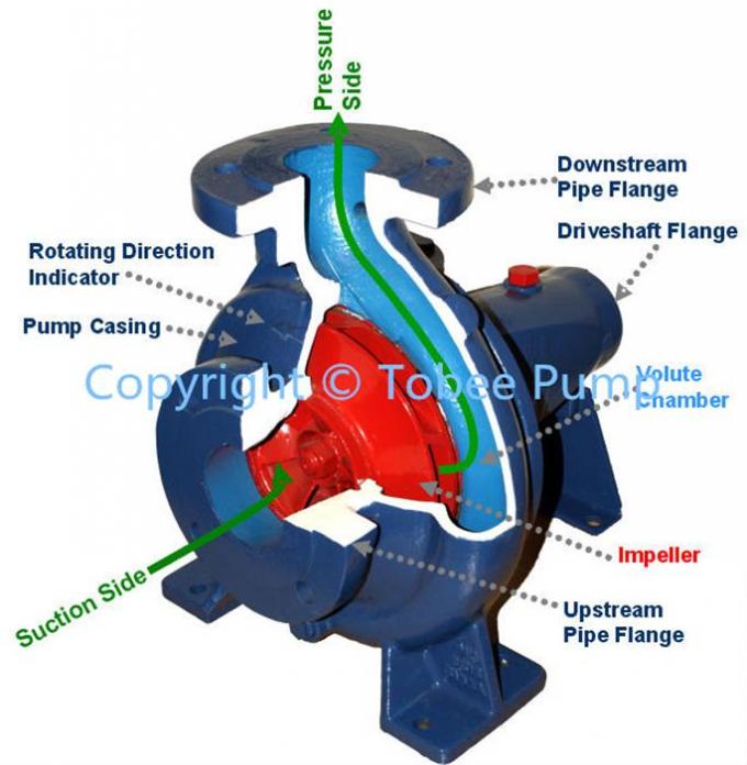 Tobee™ Horizontal Centrifugal Water Pump