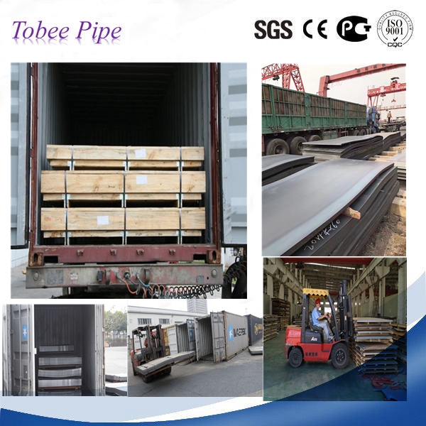 Tobee® ASTM A36 A569 S355j2 n S275jr Hot Rolled Mild steel metal sheeting