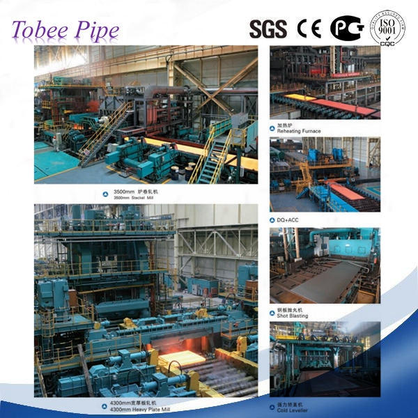 Tobee® ASTM A 36 SS400 Q235 355JR carbon steel plate